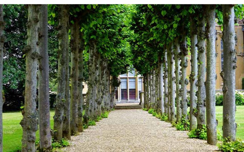 GODREJ RETREAT | Plot/Land for Sale in Godrej Retreat, Sector 83