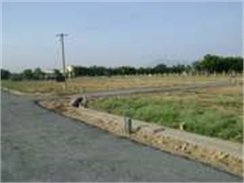 173 SQRD PLOT IN PALAM VIHAR