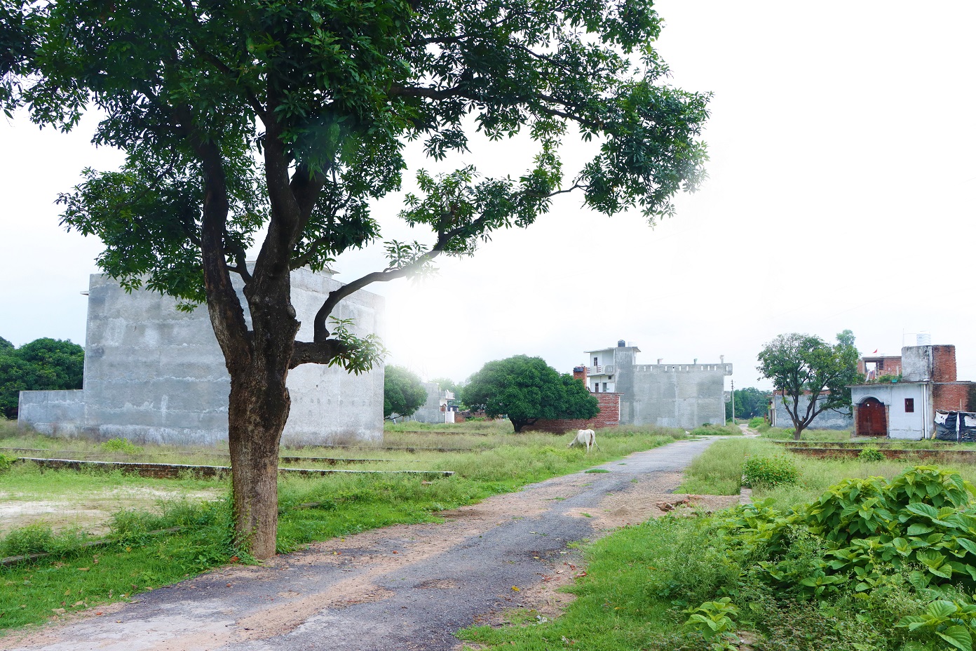 Esidential-land-plot-for-sale-in-arsh-city