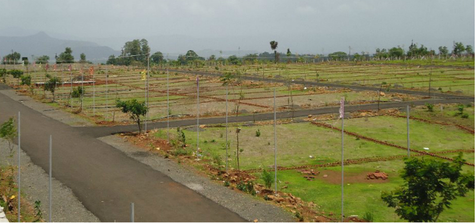 50 YARD PLOT FOR SALE IN GREATER NOIDA