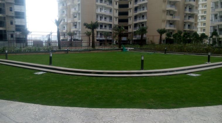 Ajnara Daffodil Available 1BHK 2BHK 3BHK