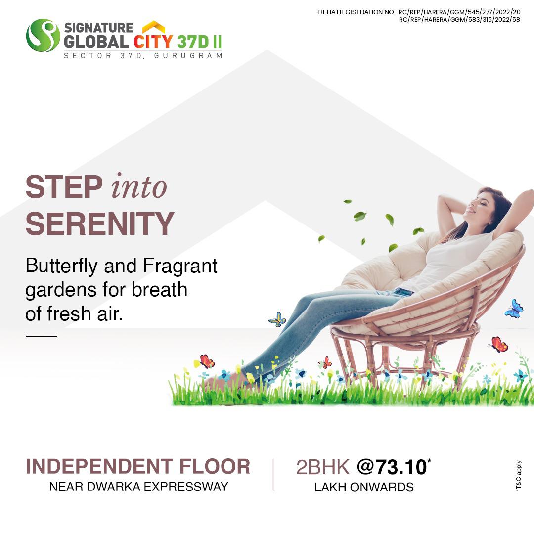 Signature global 37D 2