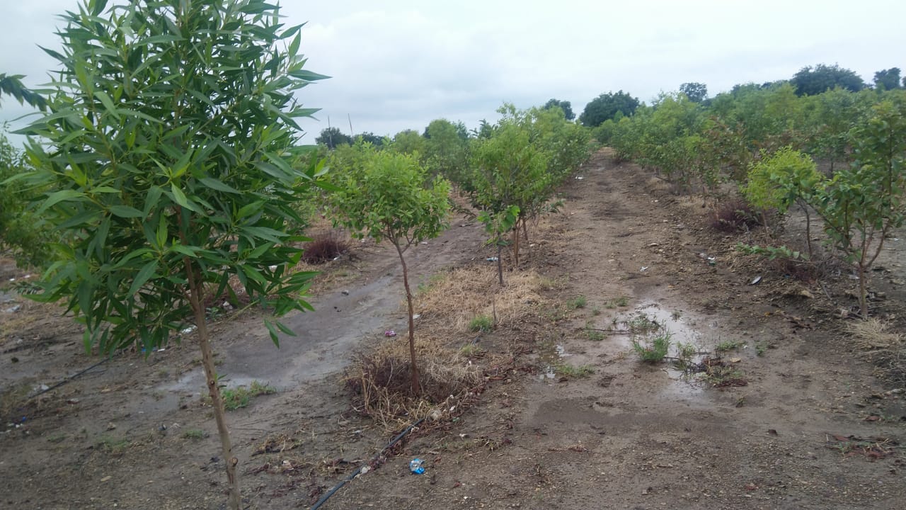 Open Residential plots in Sadashivapet near Komkole , Hyderabad