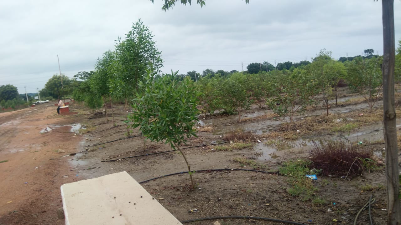 Open Residential plots in Sadashivapet near Komkole , Hyderabad