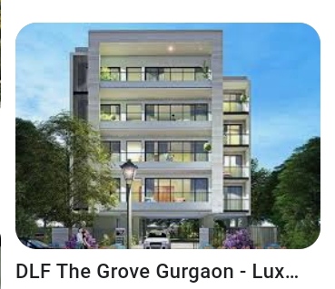 3 BHK Residential Apartment in DLF Groove DLF Phase 5, Gurgaon