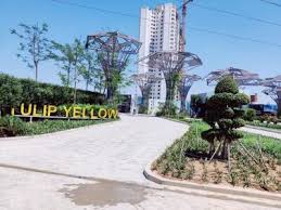 3 Bedroom Residential Flat For Sale in Tulip Yellow , Sector-69, Gurgaon
