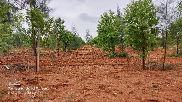Residential Land/plot For Sale in Maruthinagar, Nagole, Hyderabad