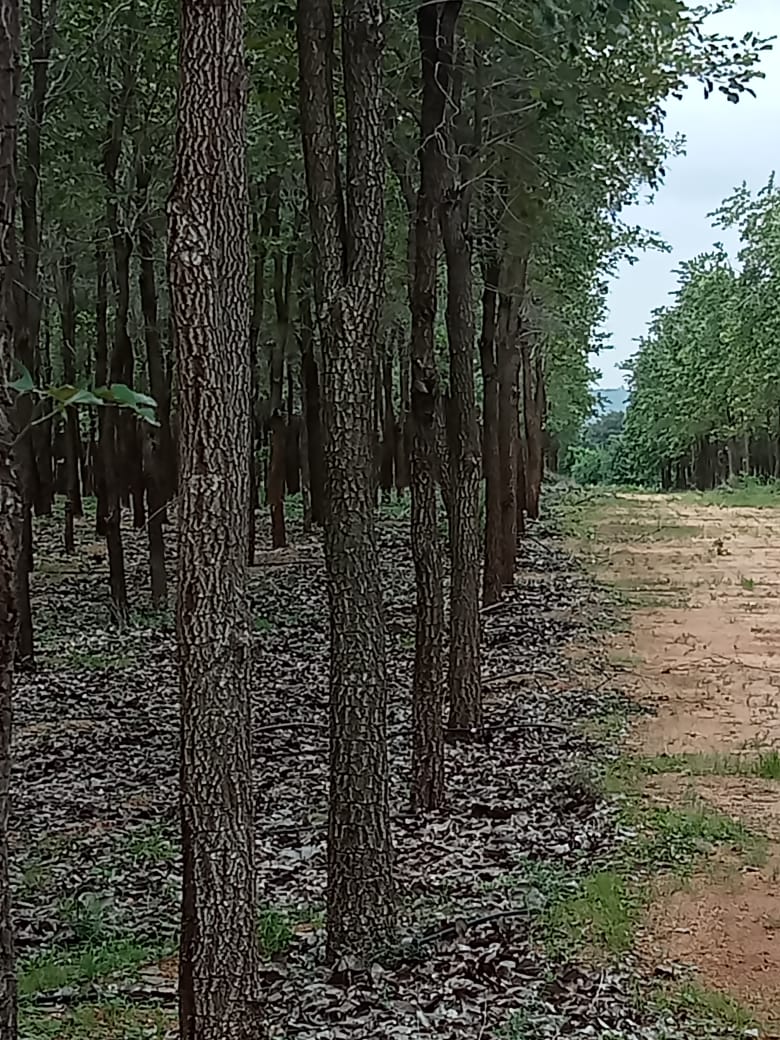 Residential Land/plot For Sale in Maruthinagar, Nagole, Hyderabad
