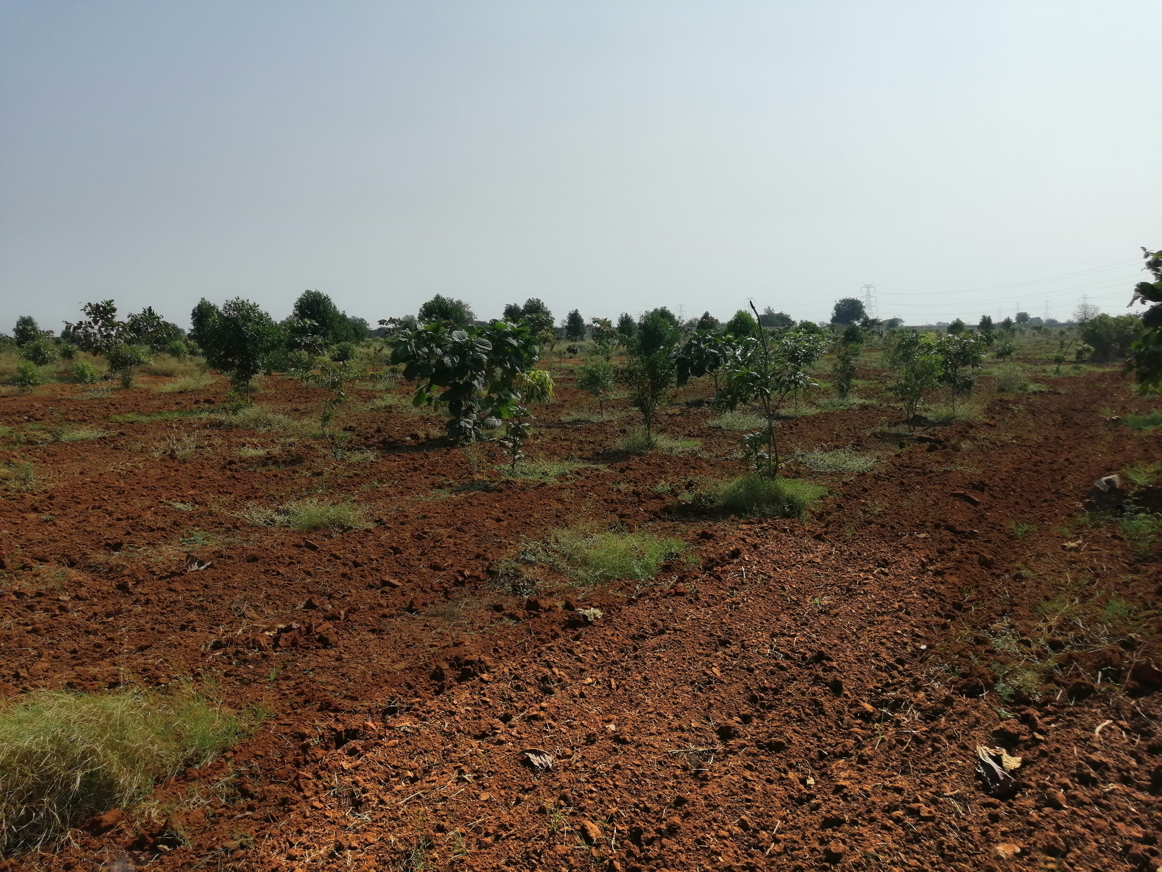 Residential Land/plot For Sale in Maruthinagar, Nagole, Hyderabad