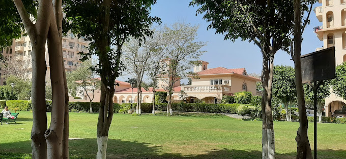 3 bedroom for sale in oakyard apartment , gurgaon (Deals in all types of apartments)