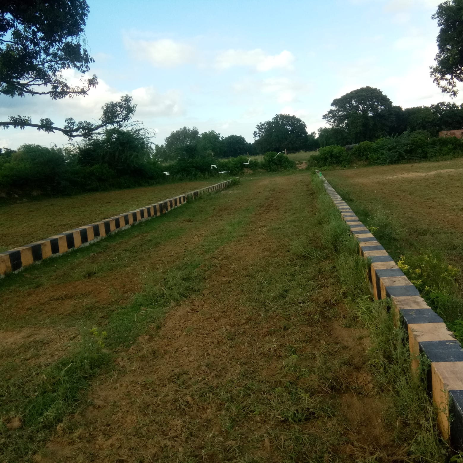 1000 sqft near shivghar resort raibareli road price 549 per sqft