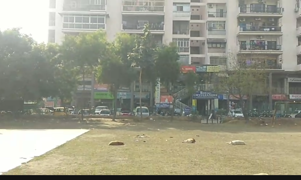 2BHK Avalible For Rent In Royal Tower Indirapuram Ghaziabad