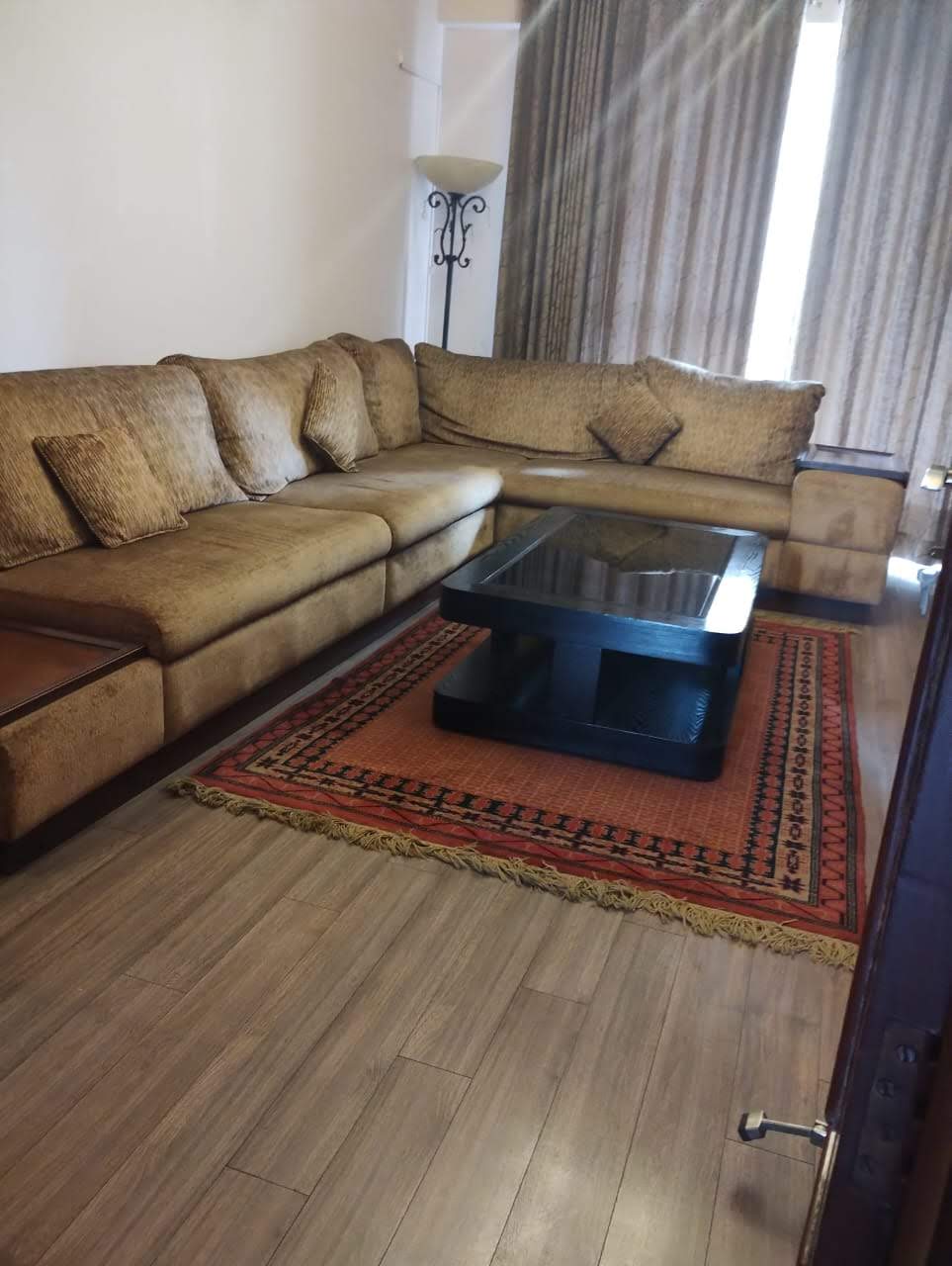 Free Hold 4 Bedroom Fully Furnished Apartment For Rent in Gurgaon