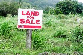 Radhe krishna developers