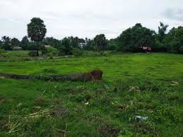 Radhe krishna developers