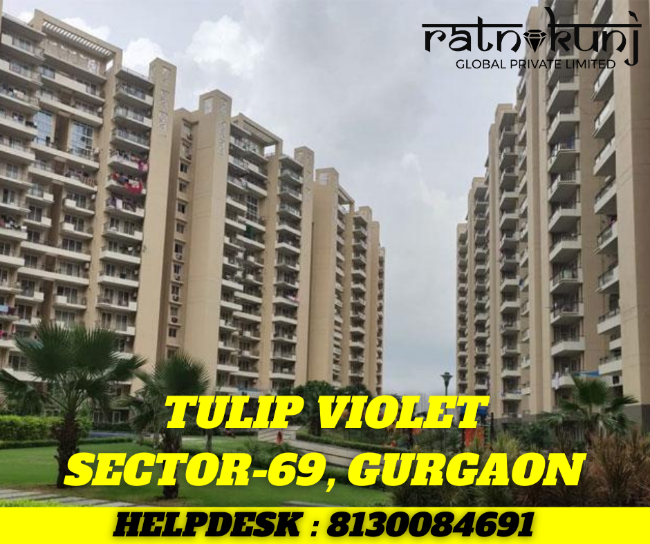 Tulip Violet | Sector-69, Gurugram | ☎️8130084691
