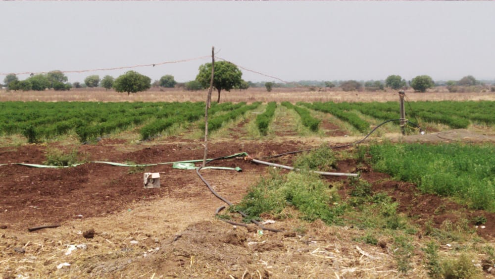 Agricultural land