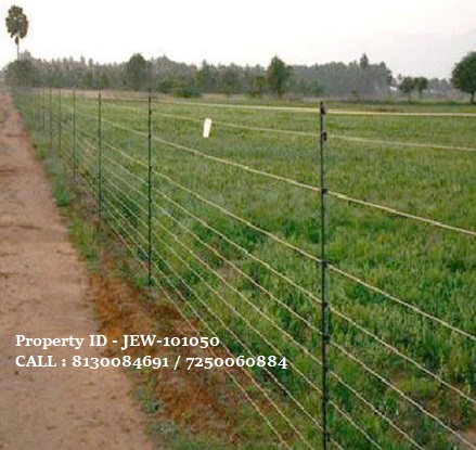 Agriculture plots / farm lands