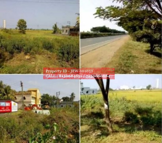 Agricultural/Farm