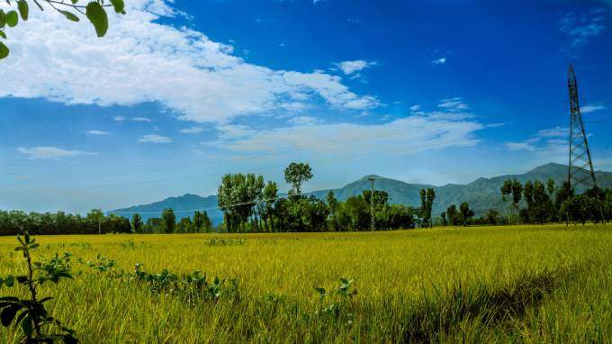 YEIDA launches residential plot scheme 2022