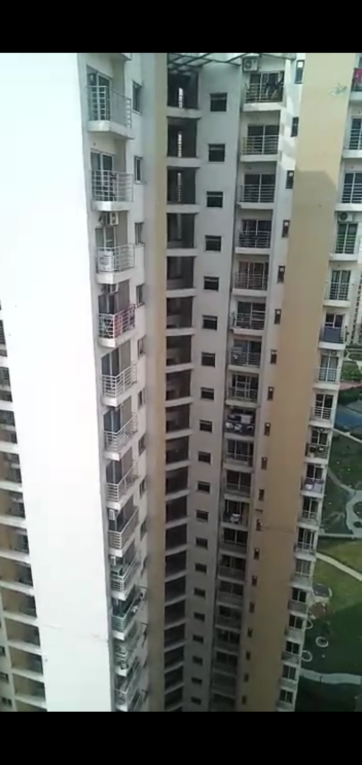 1Bhk