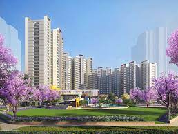Despite the long wait, the insolvency process has made a difference to 1,400 buyers of SARE Homes in Gurgaon