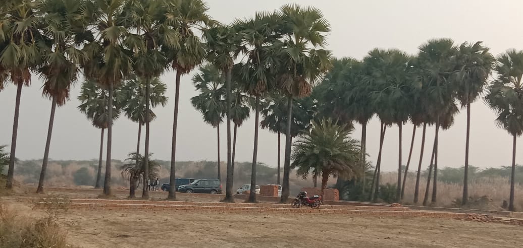 Sangam Green Valley