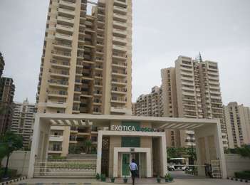 READY TO MOVE 3BHK APARTMENT FOR SALE IN EXOTICA FRESCO SECTOR 137