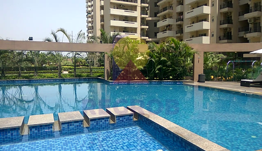 READY TO MOVE 3BHK APARTMENT FOR SALE IN EXOTICA FRESCO SECTOR 137