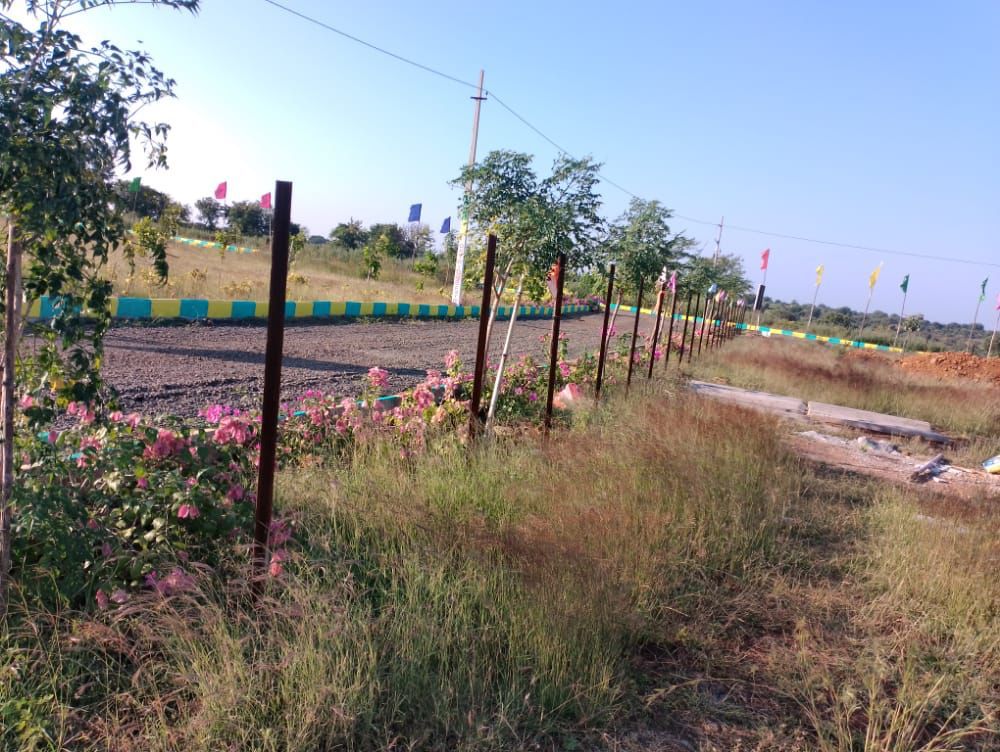 Grab The Offer!!! Farm land plots For Sale  in Narayankhed, Hyderabad