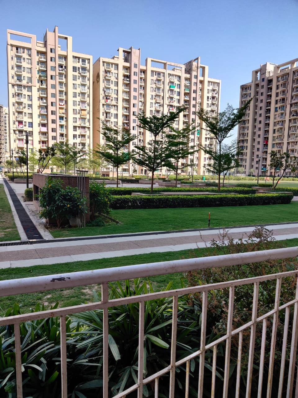 3 BHK Ready To Move Builder floor Apartment For Sale in Sushant Lok 2, Gurgaon