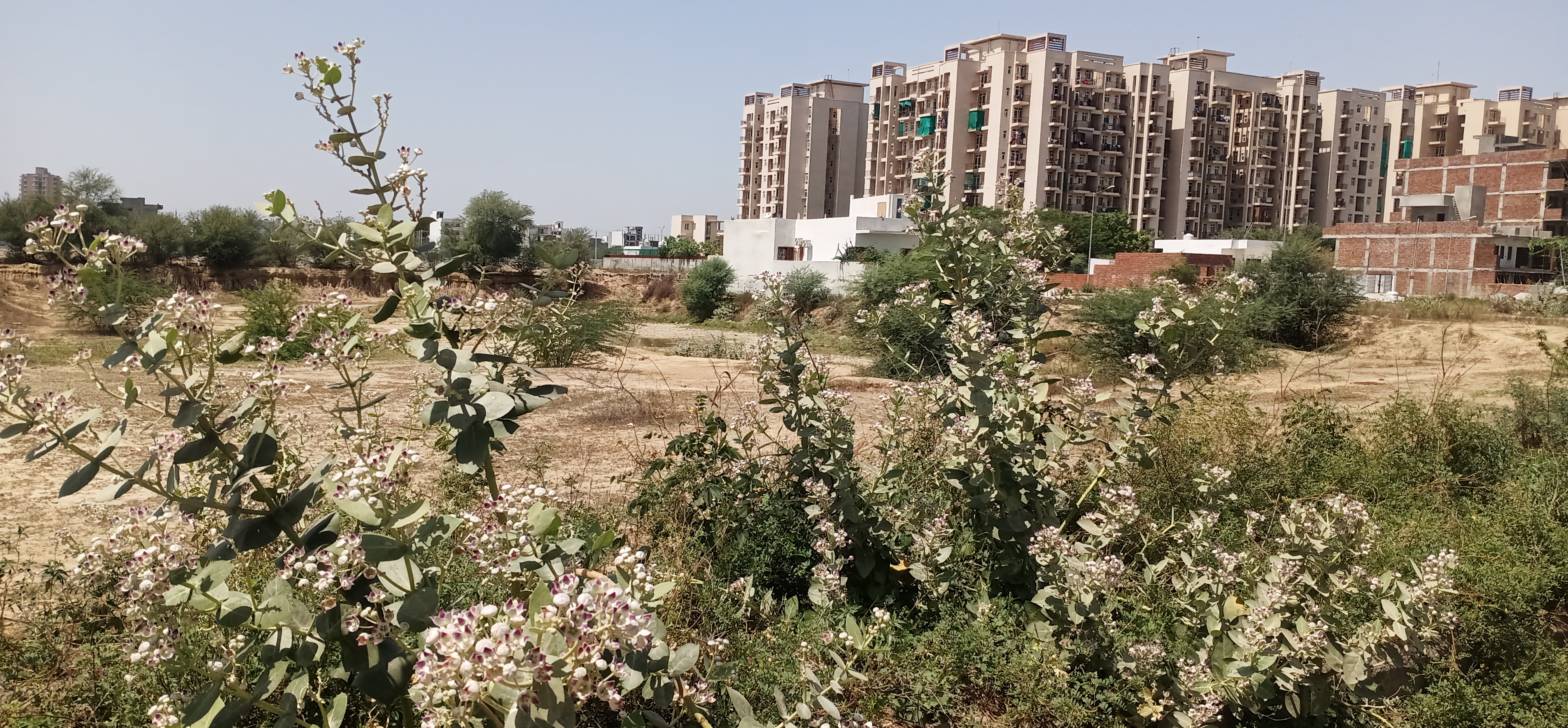 478 Sq yard Plot for sale in Faridabad