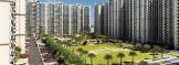 Ready To Move 3 BHK in ANTRIKSH GOLF CITY Sector 150 Noida 